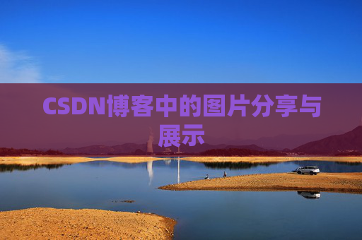 CSDN博客中的图片分享与展示